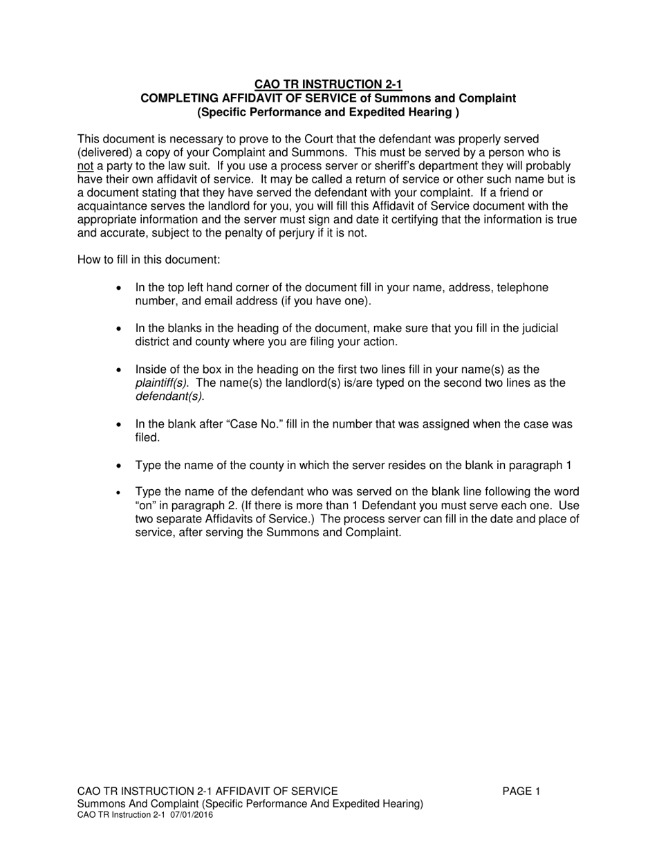 Download Instructions for Form CAO TR2-1 Affidavit of Service ...