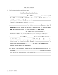 Form 110 Petition - Kansas, Page 4