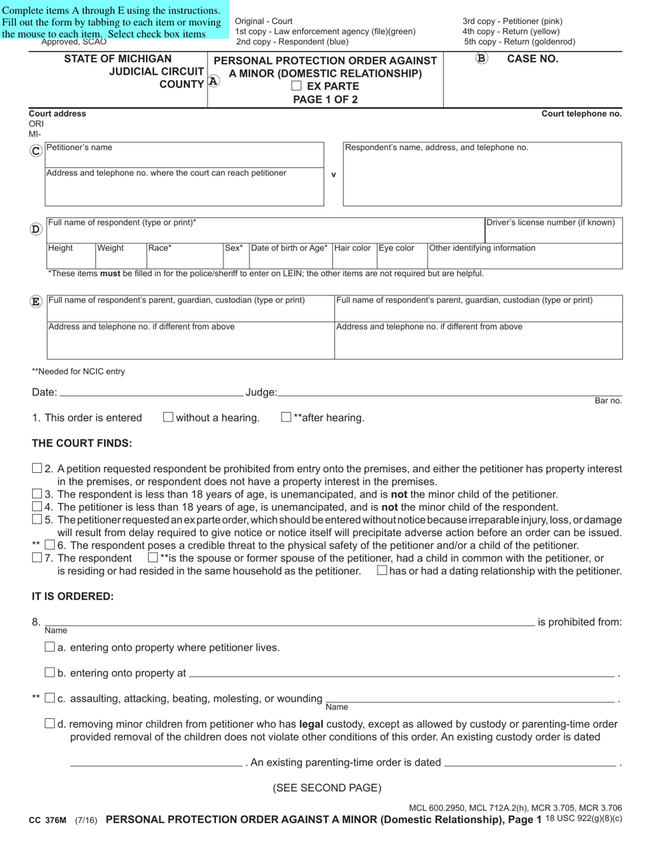 Form CC376M Personal Protection Order Against a Minor (Domestic Relationship) - Michigan, Page 3