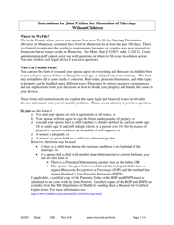 Document preview: Instructions for Form DIV302 Joint Petition and Decree Without Children - Minnesota
