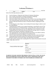 Form DIV202 Joint Petition for Summary Dissolution of a Marriage - Minnesota, Page 8