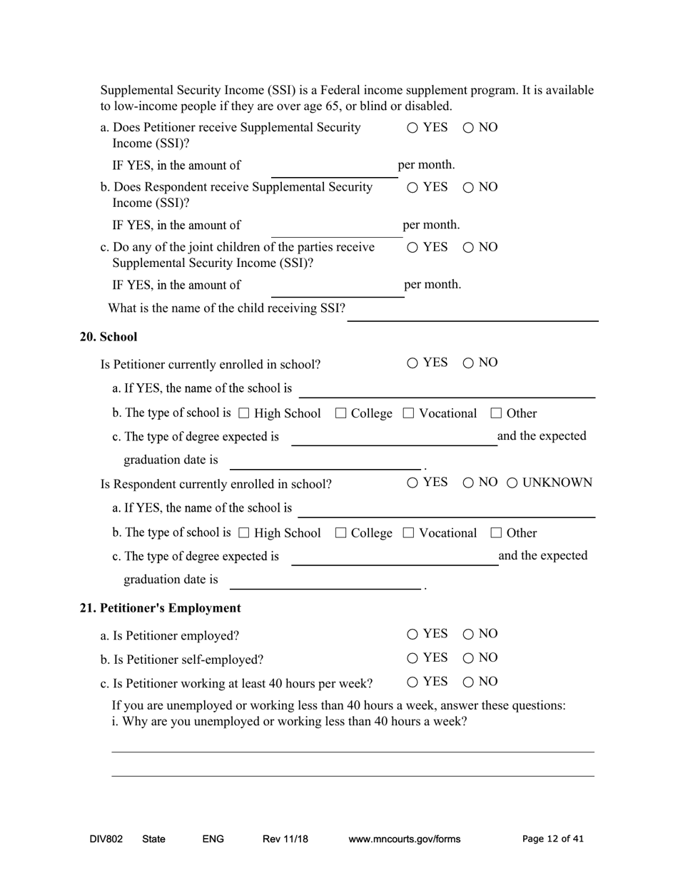 Form DIV802 Petition for Dissolution of Marriage With Children - Minnesota, Page 12