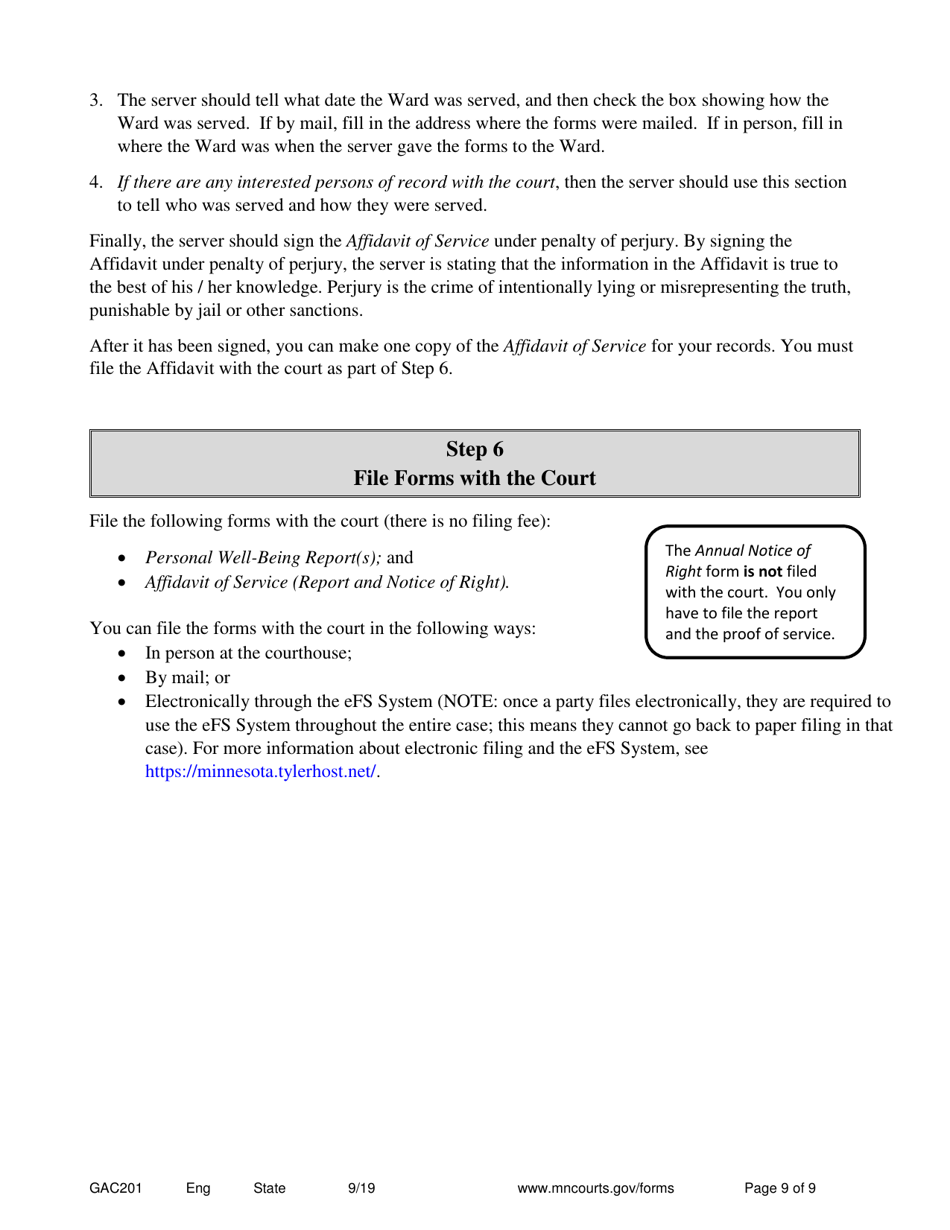 Form GAC201 Annual Reporting for Guardians - Minnesota, Page 9