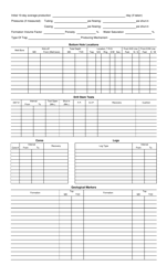 Form 4 Completion Report - Montana, Page 2