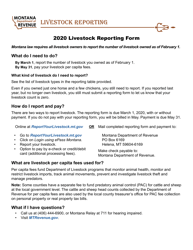 Livestock Reporting Form - Montana
