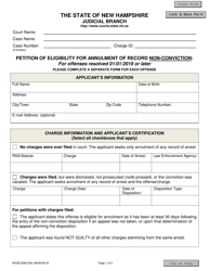 Document preview: Form NHJB-3056-DSE Petition of Eligibility for Annulment of Record Non-conviction: for Offenses Resolved 01/01/2019 or Later - New Hampshire