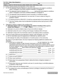 Form NHJB-2422-DSE Domestic Violence/Stalking Criminal Order of Protection Including Orders and Conditions of Bail - New Hampshire, Page 2