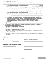Form NHJB-2422-DSE Domestic Violence/Stalking Criminal Order of Protection Including Orders and Conditions of Bail - New Hampshire, Page 3