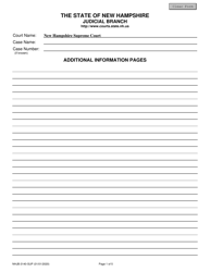 Form NHJB-3140-SUP Additional Information Pages - New Hampshire