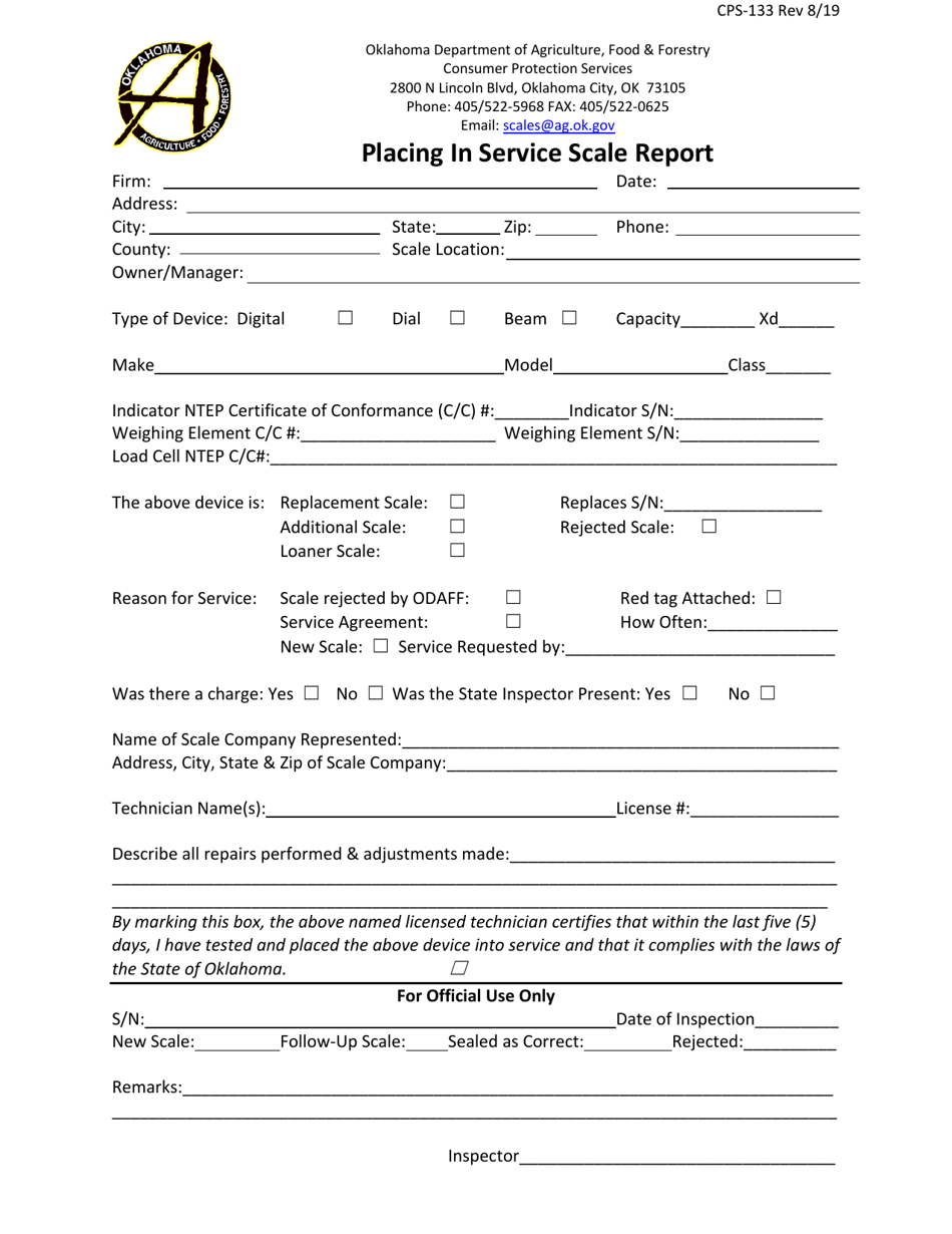 form-cps-133-download-fillable-pdf-or-fill-online-placing-in-service