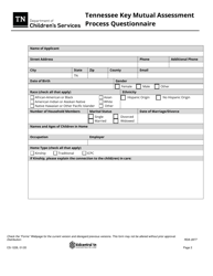 Form CS-1228 Tennessee Key Mutual Assessment Process Questionnaire - Tennessee, Page 2