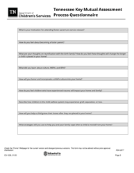 Form CS-1228 Tennessee Key Mutual Assessment Process Questionnaire - Tennessee, Page 3