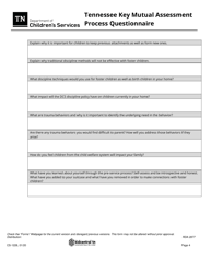 Form CS-1228 Tennessee Key Mutual Assessment Process Questionnaire - Tennessee, Page 4