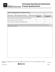 Form CS-1228 Tennessee Key Mutual Assessment Process Questionnaire - Tennessee, Page 5