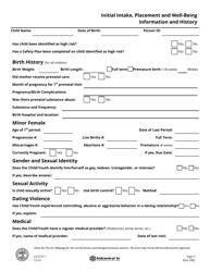 Form CS-0727-1 Child/Youth Placement and Well-Being Information - Tennessee, Page 7