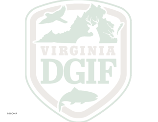 Application for Raccoon Hound Field Trial Permit - Virginia, Page 3