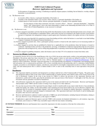 Ssbci Cash Collateral Program Borrower Application and Agreement - Virginia, Page 4