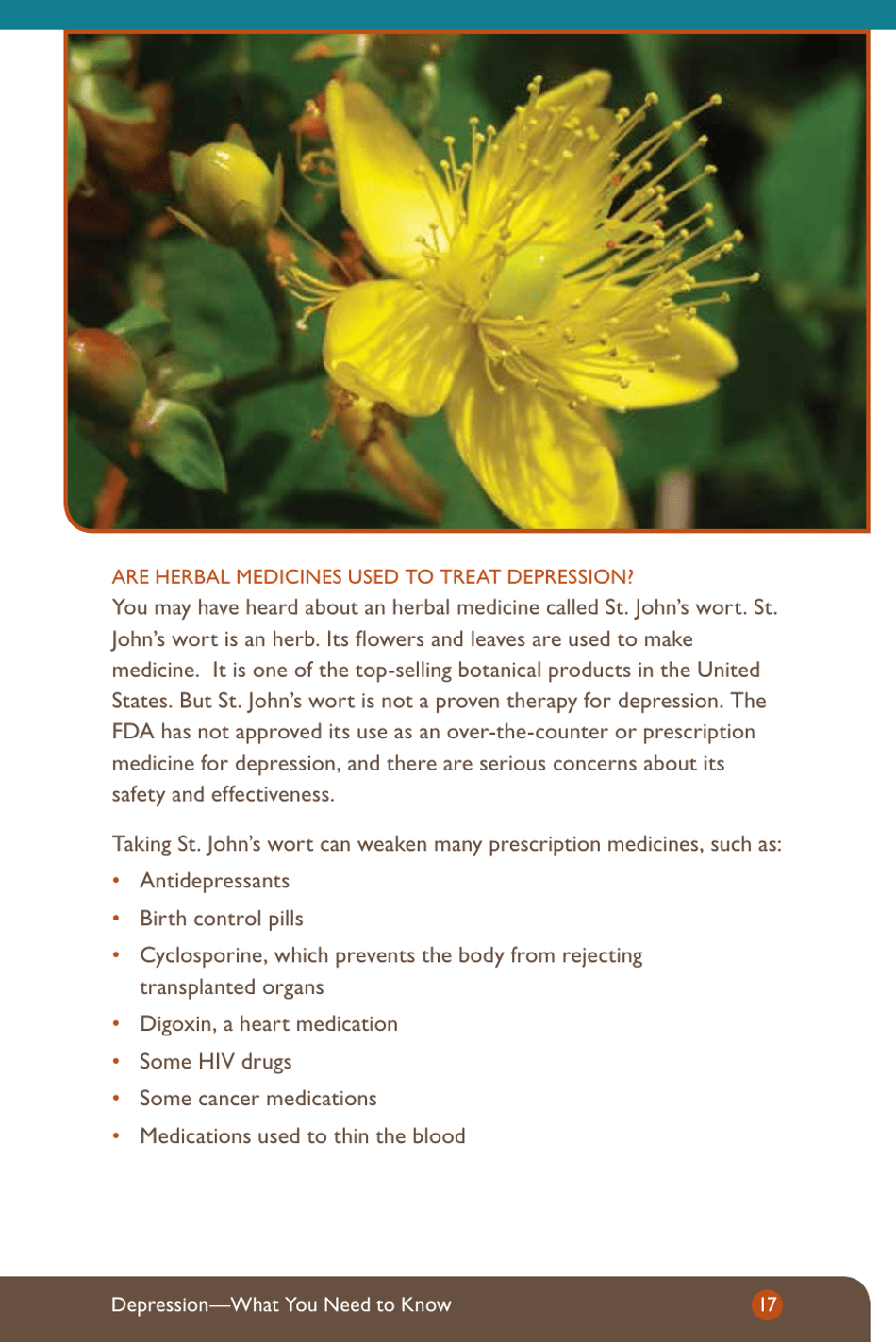 Depression: What You Need to Know - National Institute of Mental Health, Page 19