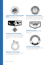 Cub Scout Insignia - Boy Scouts of America, Page 10