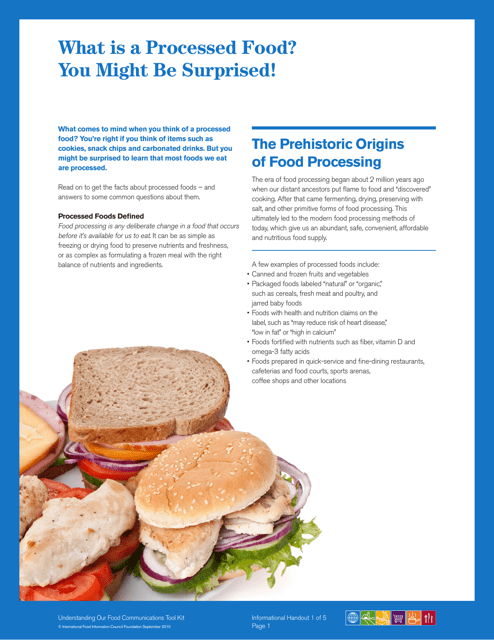 What Is a Processed Food? You Might Be Surprised! - International Food Information Council Foundation document preview image