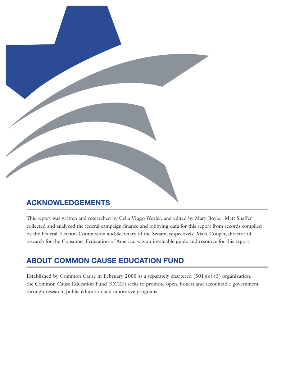 The Fallout From the Telecommunications Act of 1996: Unintended Consequences and Lessons Learned - Common Cause Education Fund, Page 2