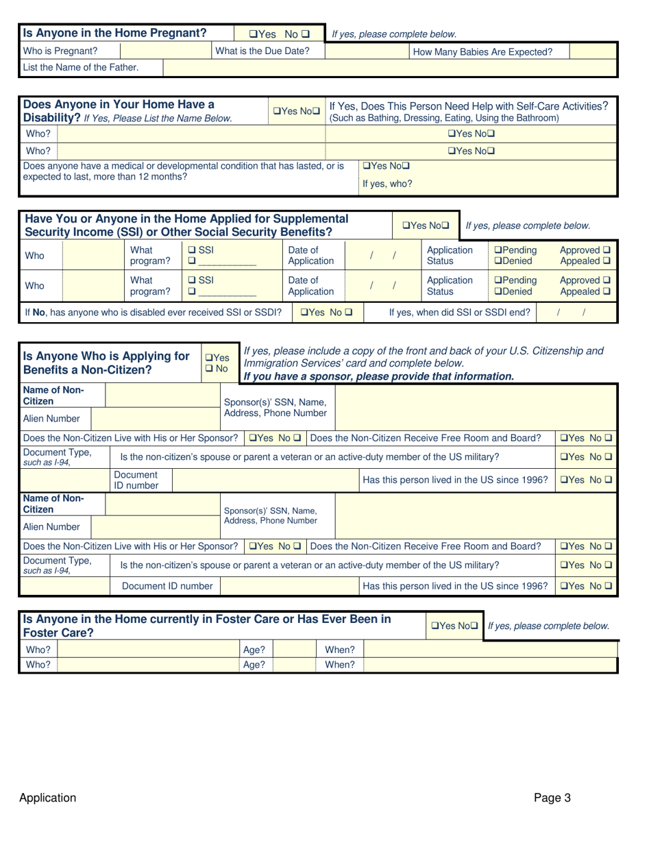 Application for Public Assistance - Colorado, Page 3