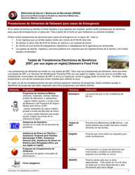 Formulario 100 Solicitud De Prestaciones De Alimentos, Asistencia Monetaria, Asistencia Medica Y De Guarderia - Delaware (Spanish), Page 3