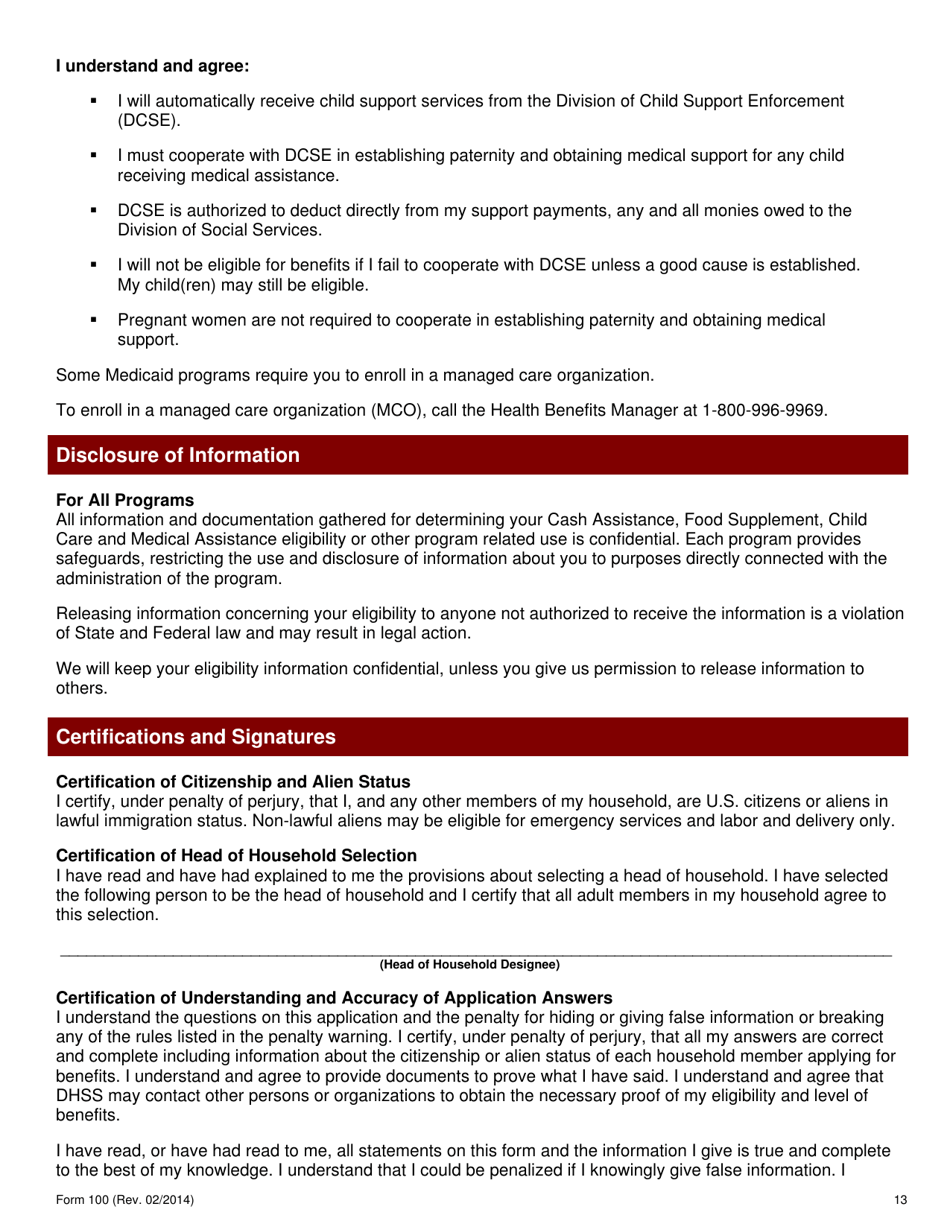 Form 100 Application for Food Benefits, Cash, Medical, and Child Care Assistance - Delaware, Page 14