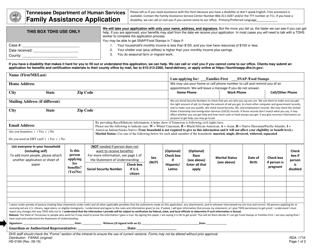 Form HS-0169 Family Assistance Application - Tennessee