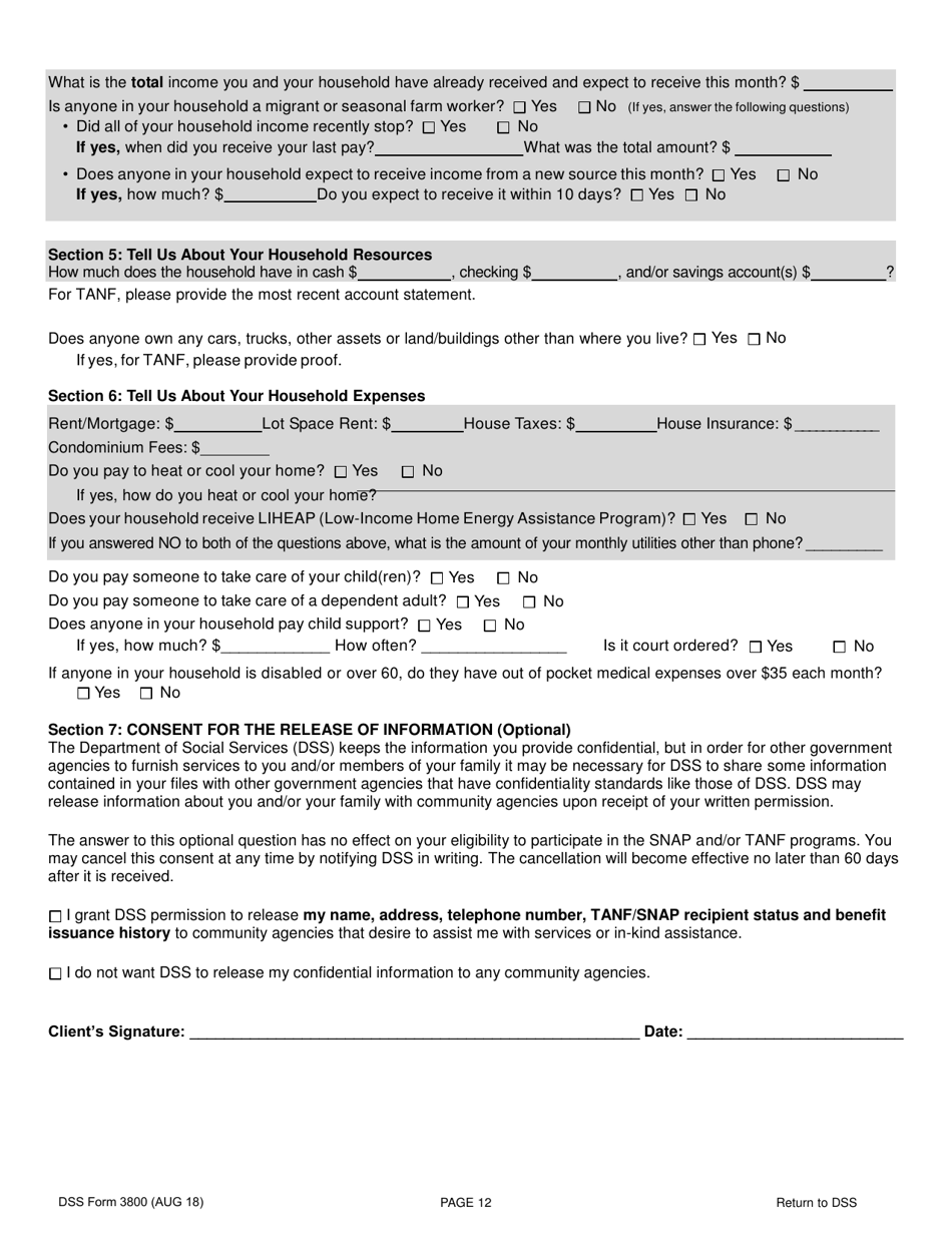 DSS Form 3800 - Fill Out, Sign Online and Download Printable PDF, South ...