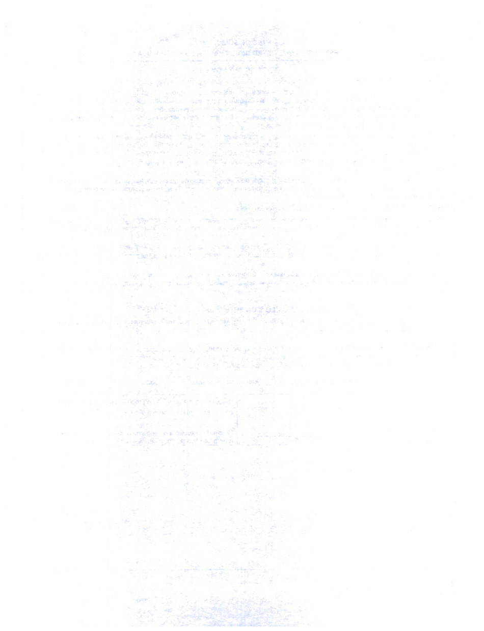 Formulario DFS100 Solicitud De Asistencia - Wyoming (Spanish), Page 20