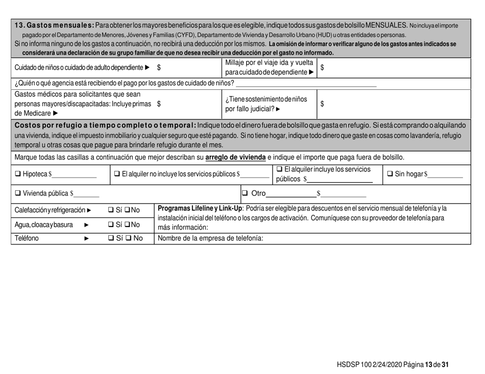 Formulario HSDSP100 Solicitud De Asistencia - New Mexico (Spanish), Page 13