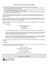 Form 615-82-14-0028 Application for Colorado Child Care Assistance Program (Cccap) - Colorado, Page 12
