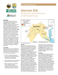 Document preview: Intersex Fish Endocrine Disruption in Smallmouth Bass