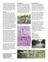 Intersex Fish Endocrine Disruption in Smallmouth Bass, Page 2