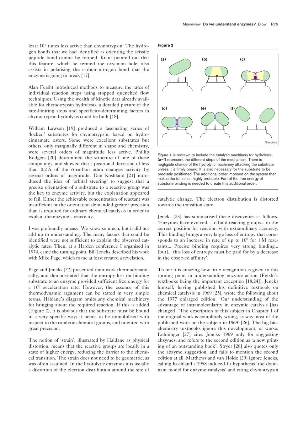 So Do We Understand How Enzymes Work? - David Blow, Page 3
