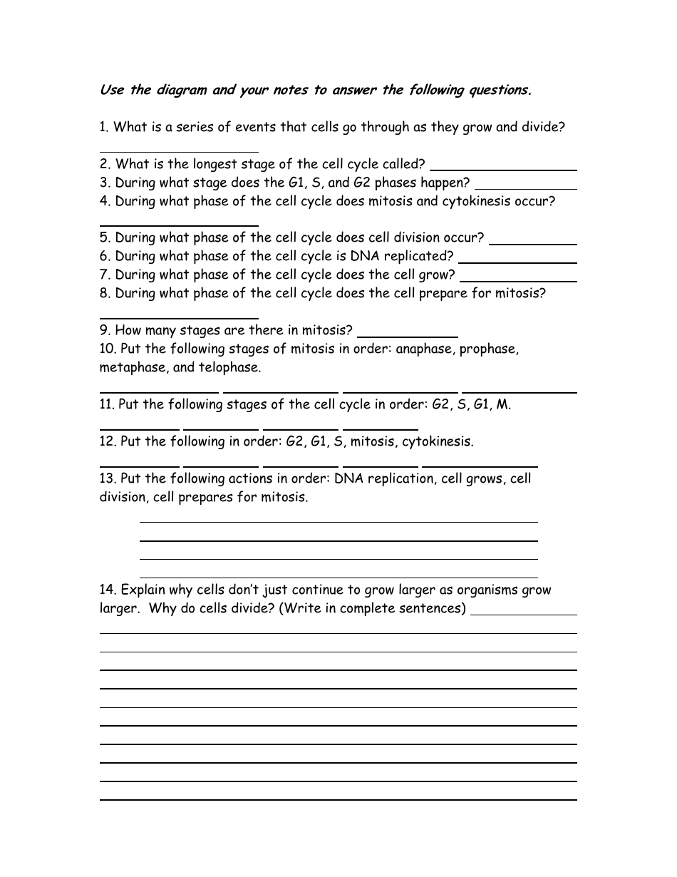 The Cell Cycle Coloring Worksheet - Bio 104 Foundations in Biology II, Matthew Hamilton, Georgetown University, Page 2