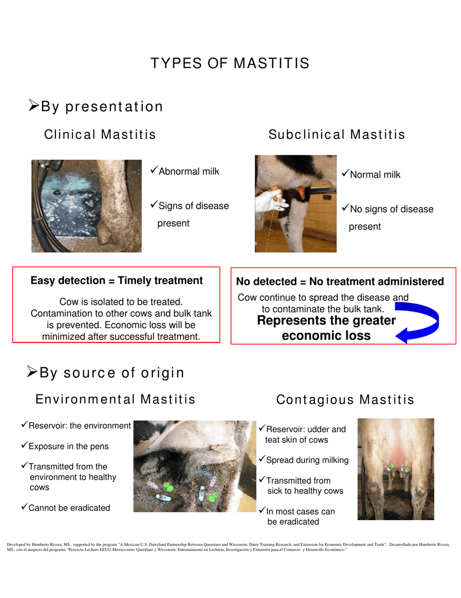 The Udder of the Cow - Humberto Rivera, Page 3