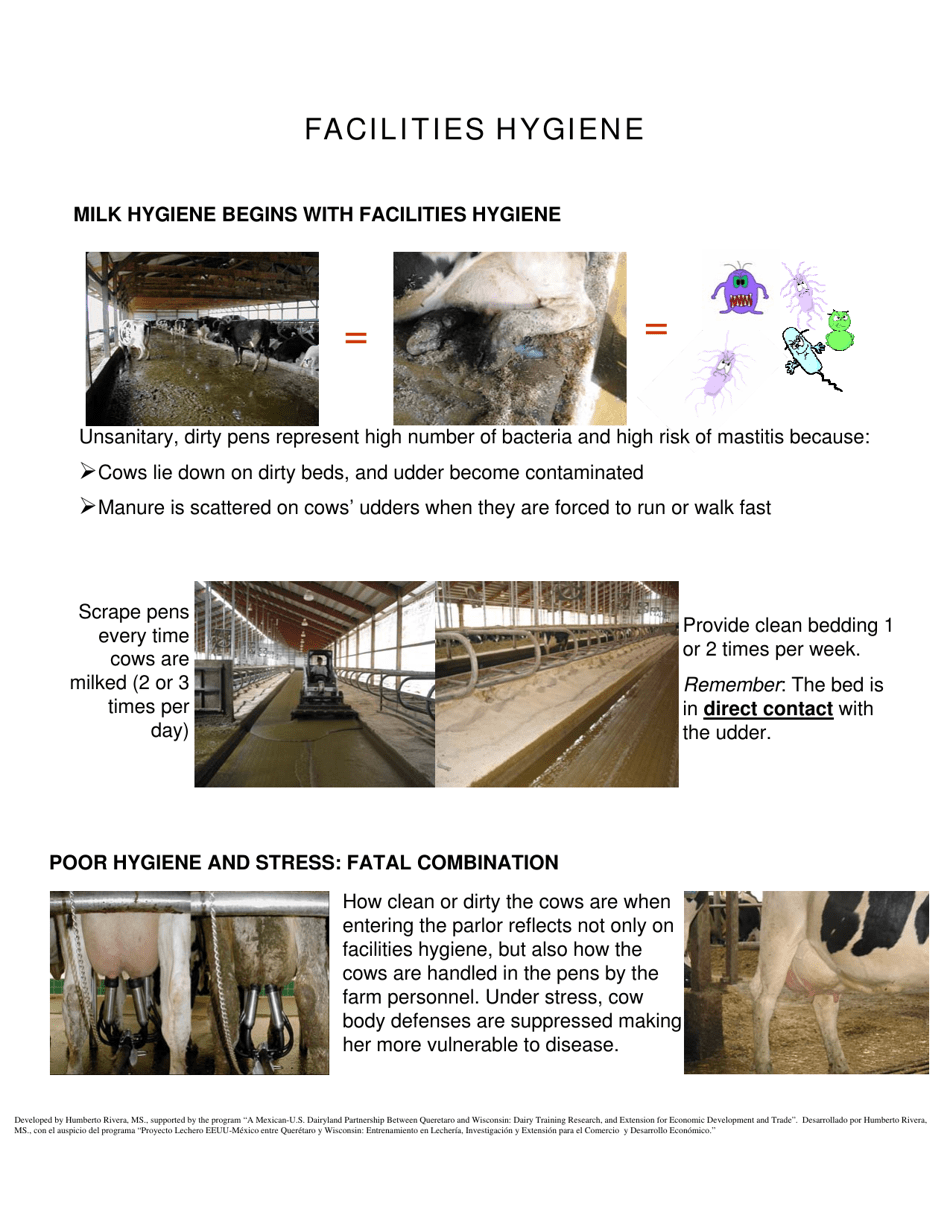 The Udder of the Cow - Humberto Rivera, Page 7