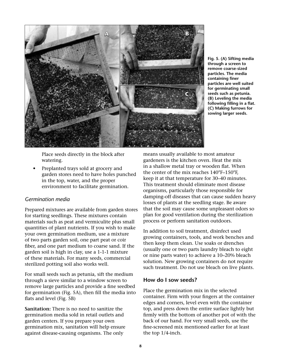 Propagating Plants From Seed - G.n.m. Kumar, F.e. Larsen, and K.a. Schekel, Page 10