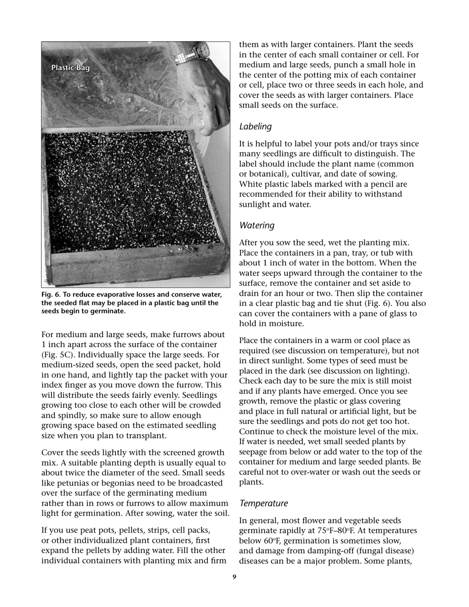 Propagating Plants From Seed - G.n.m. Kumar, F.e. Larsen, and K.a. Schekel, Page 11
