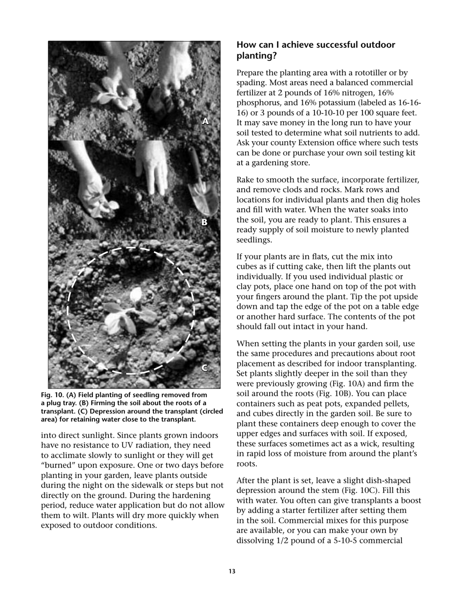 Propagating Plants From Seed - G.n.m. Kumar, F.e. Larsen, and K.a. Schekel, Page 15