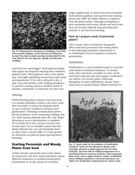 Propagating Plants From Seed - G.n.m. Kumar, F.e. Larsen, and K.a. Schekel, Page 19