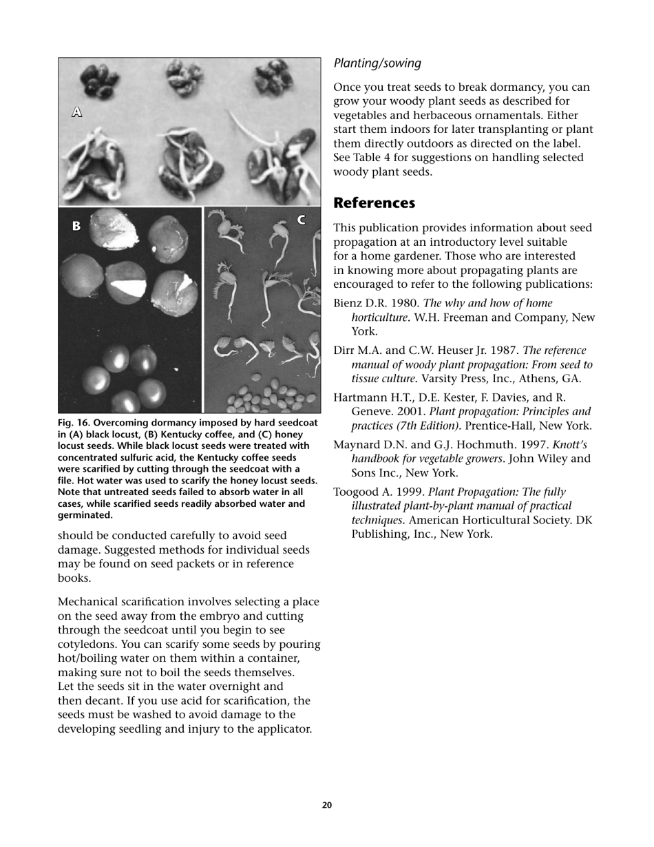 Propagating Plants From Seed - G.n.m. Kumar, F.e. Larsen, and K.a. Schekel, Page 22