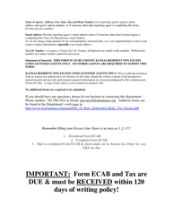 Form ECAB &quot;Kansas Excess Lines Premium Tax Reporting Statement Form&quot; - Kansas, Page 2