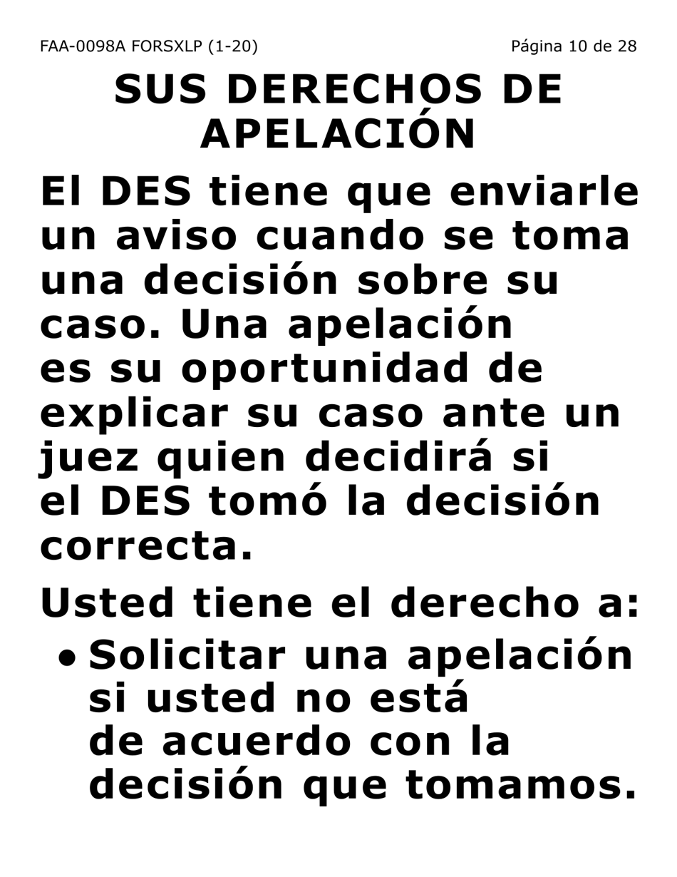 Formulario FAA-0098A-SXLP Solicitud De Apelacion (Letra Extra Grande) - Arizona (Spanish), Page 10