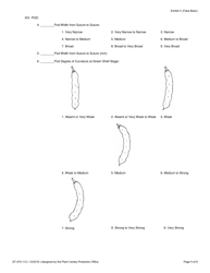 Form ST-470-112 Exhibit C Objective Description of Variety - Faba Bean, Page 5