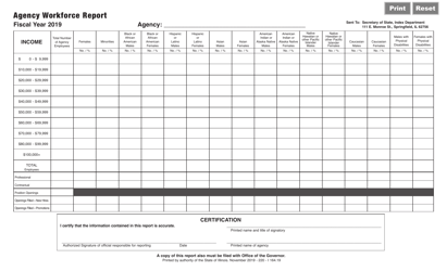 Form I164 Agency Workforce Report - Illinois