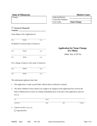 Document preview: Form NAM202 Application for Name Change of a Minor - Minnesota