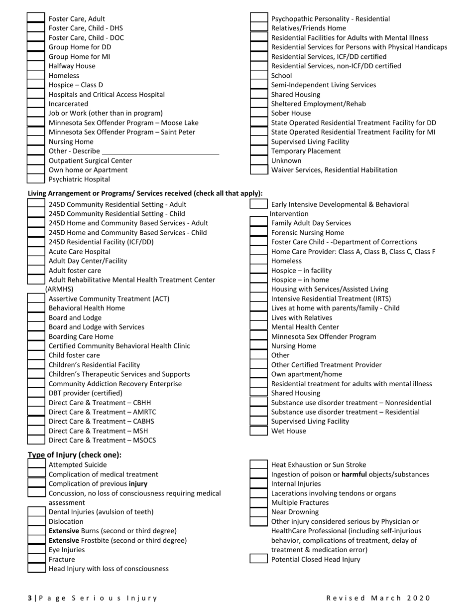 Serious Injury Report - Minnesota, Page 3